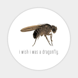 i wish i was a dragonfly. Magnet